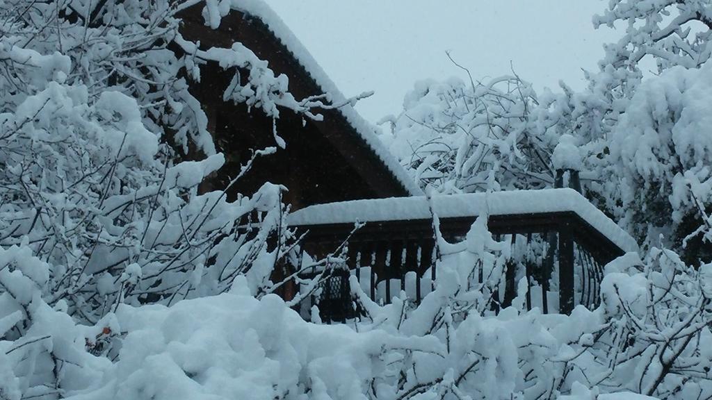 Chalet First Light Amirim